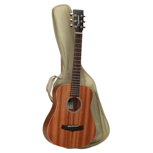 tanglewood winterleaf tw2